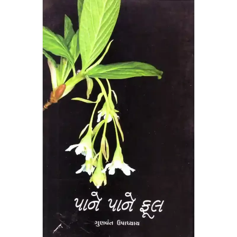 Pane Pane Phool By Gunvant Upadhyay