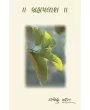 Brahmpalash (Vivechan Sangrah) By Dr. Rajendra Maheta
