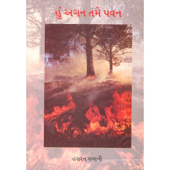 Hu Agan Tame Pavan By Hasarat Sayani