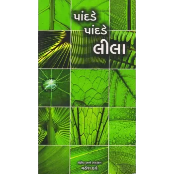 Pandade Pandade Lila By Mahesh Dave