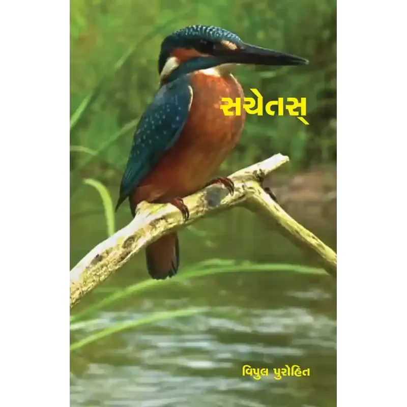 Sachetas By Vipul Purohit