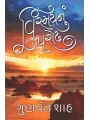Vismay Nu Parodh By Gunvant Shah