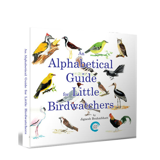 An Alphabetical Guide for Little Birdwatchers By Jignesh Brahmbhatt